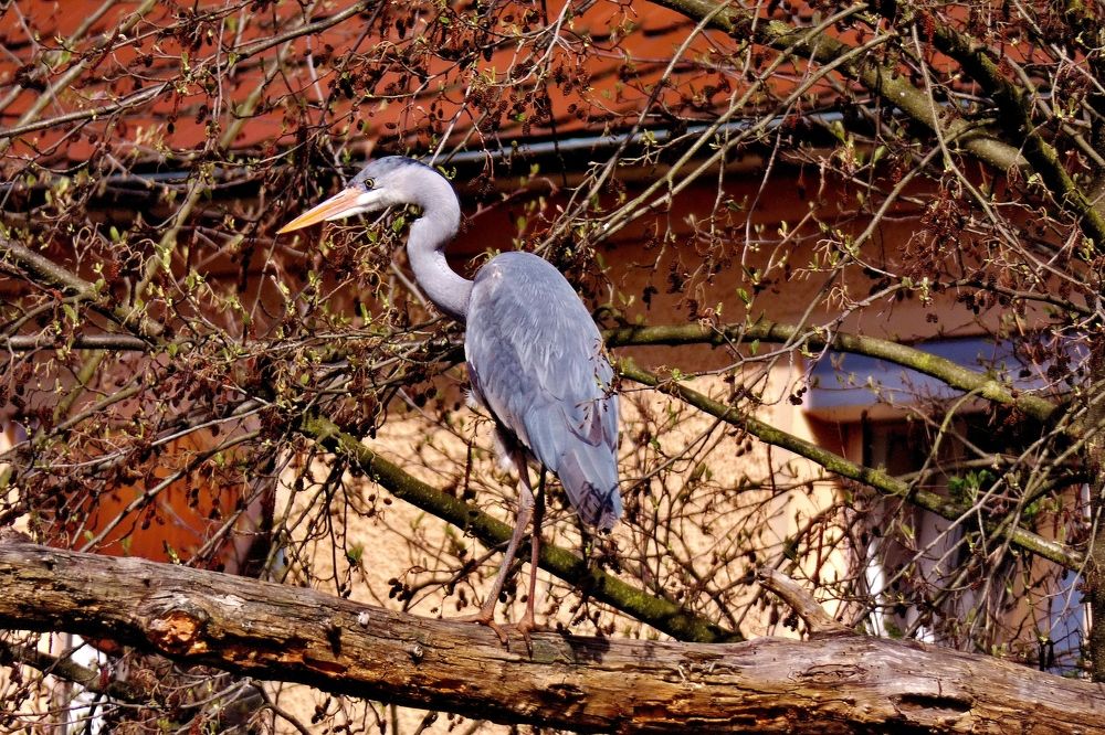 Photograph by backareva irina