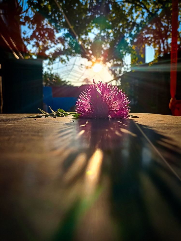 Photograph by Надежда Дойбан