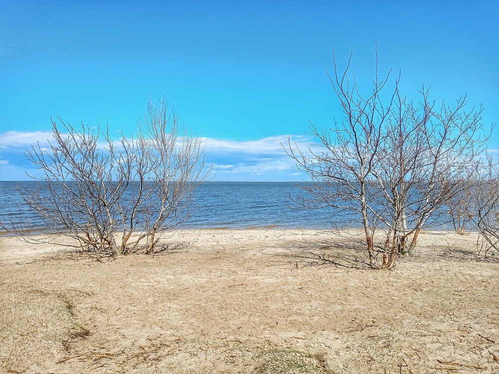 Photograph by Надежда Дойбан