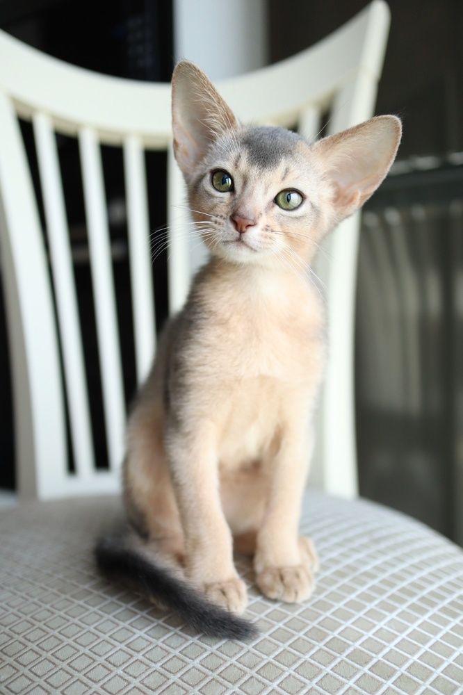 Photograph by Polina Manderson