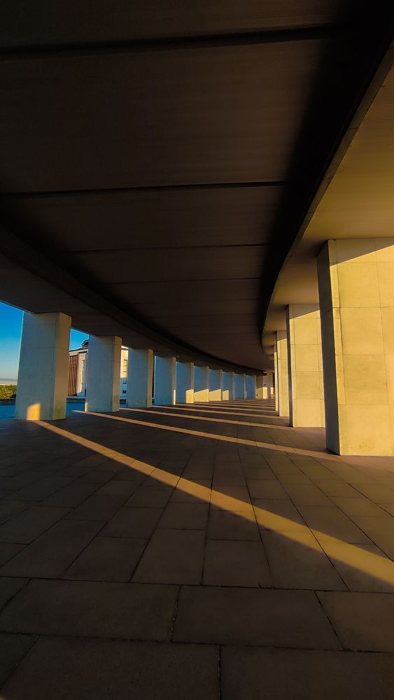 Фотография автора Софья Смирнова