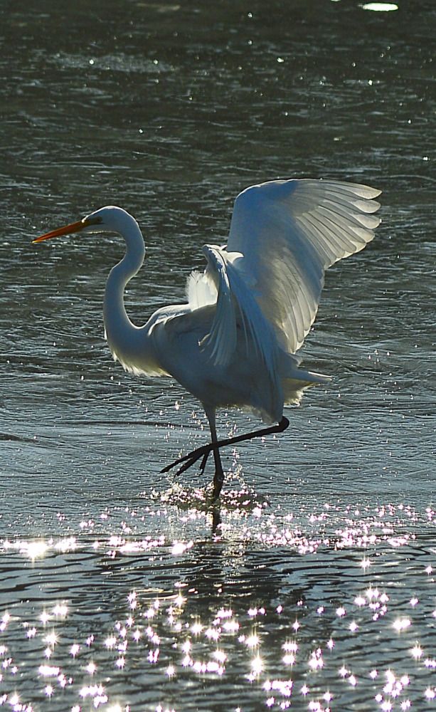 Photograph by Natalia Kopeva