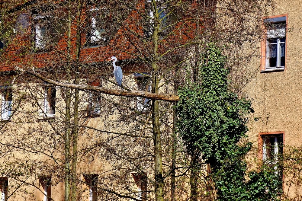 Photograph by backareva irina