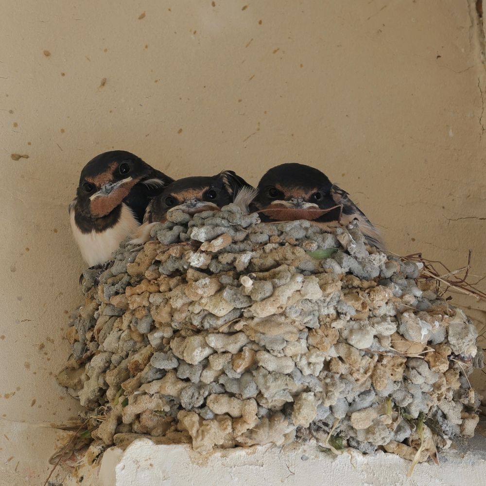 Photograph by Вячеслав Капцов