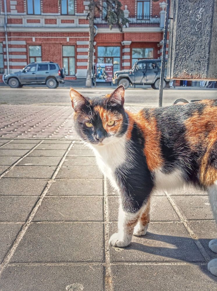 Photograph by Надежда Дойбан