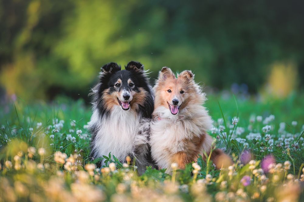 Photograph by Шитиков Владимир