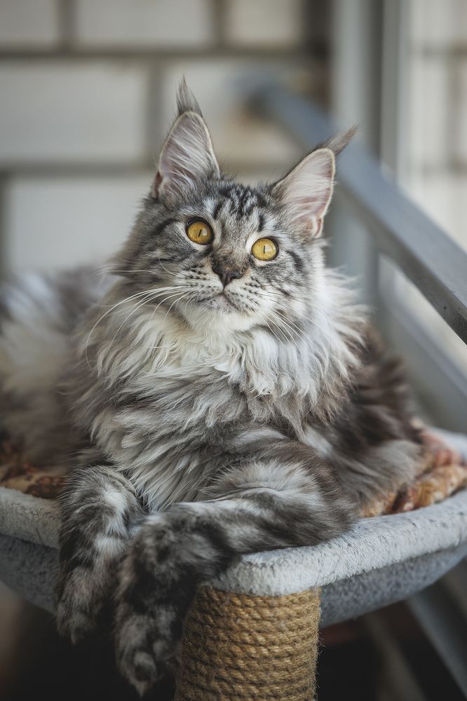 Photograph by Шитиков Владимир