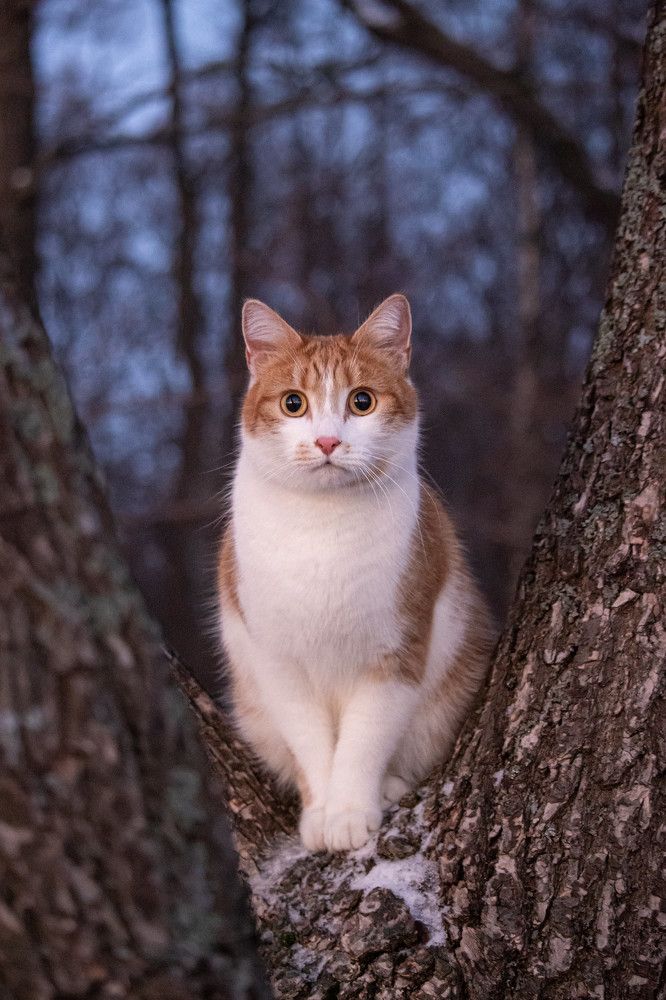 Photograph by Svetlana Dorokhova