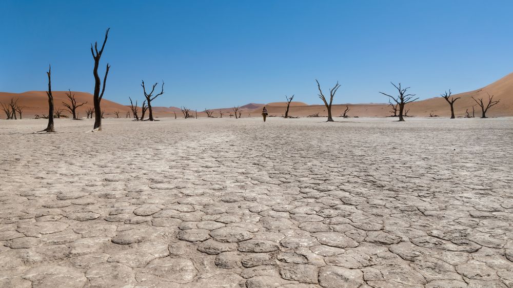 Namib Desert