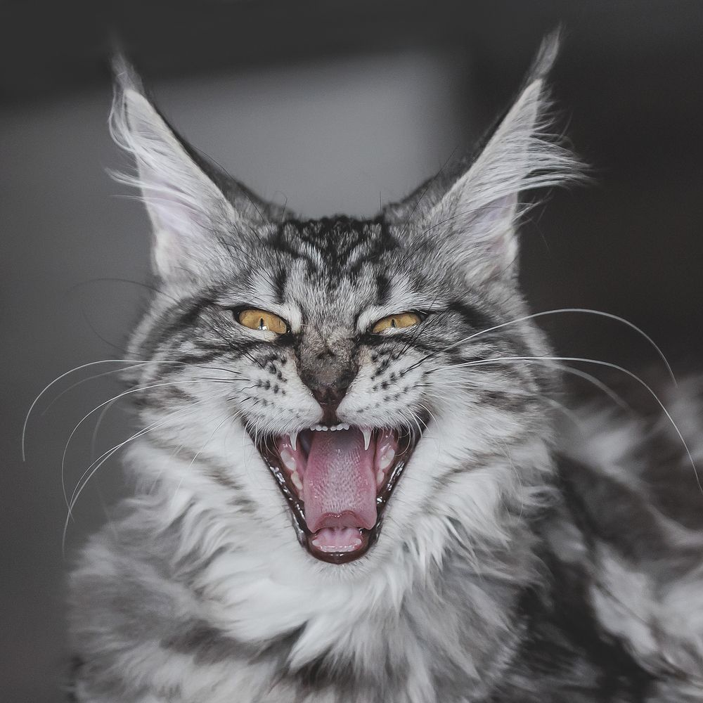 Photograph by Шитиков Владимир