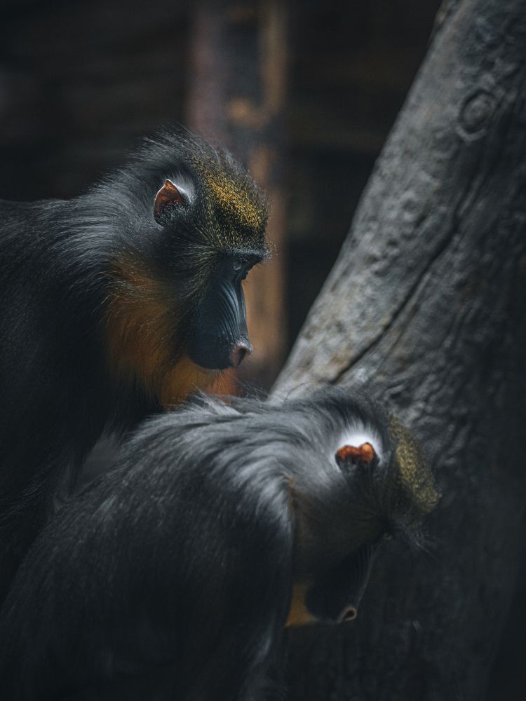 Photograph by Игорь Толкачев