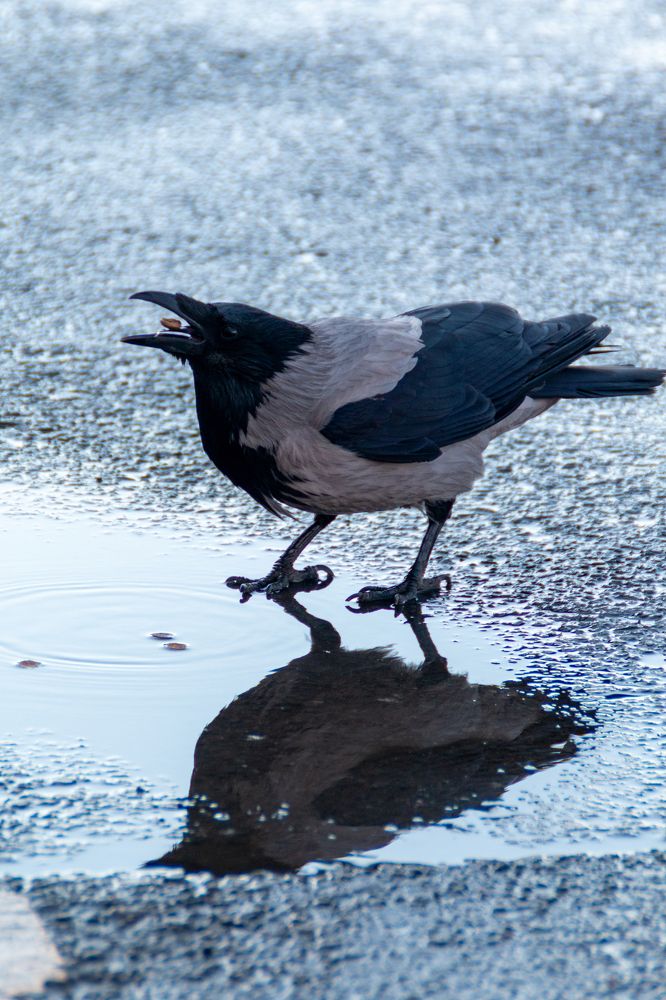 Photograph by Мария Громова