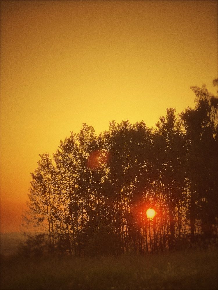 Photograph by Ирина Артюх