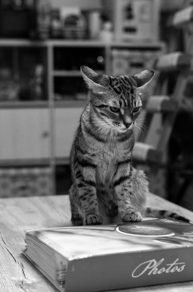 Photograph by Анна Потапова