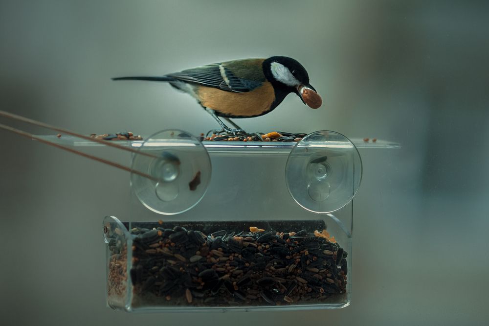 Photograph by Надежда Черковская