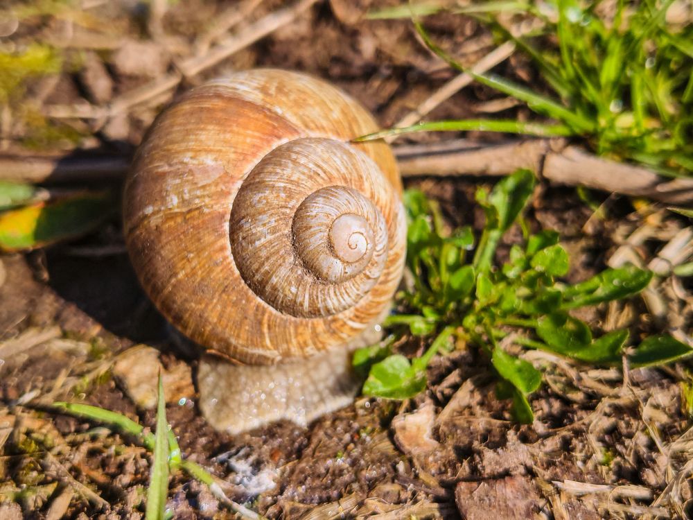 Photograph by Halina Basyanok