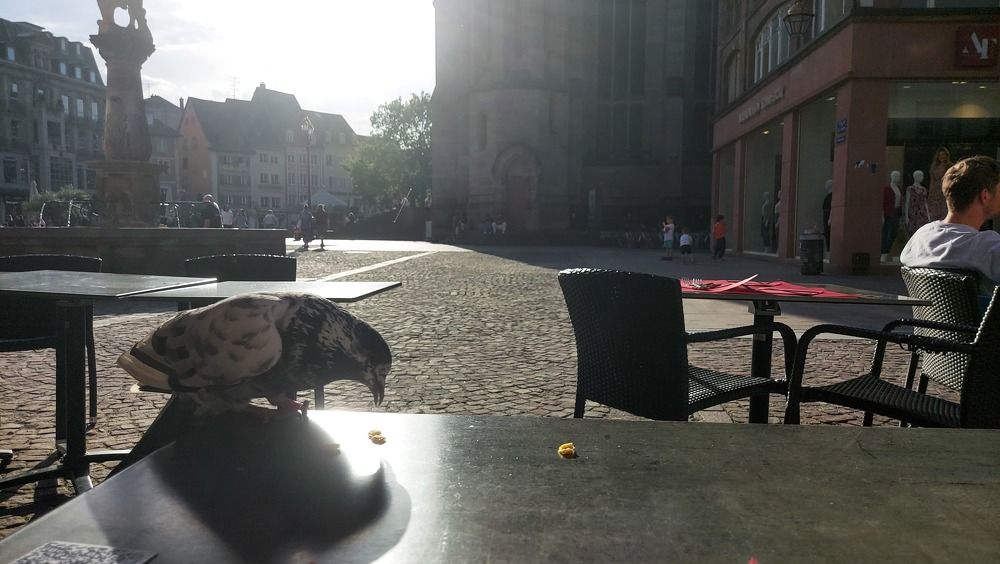 Photograph by Saime Şahin