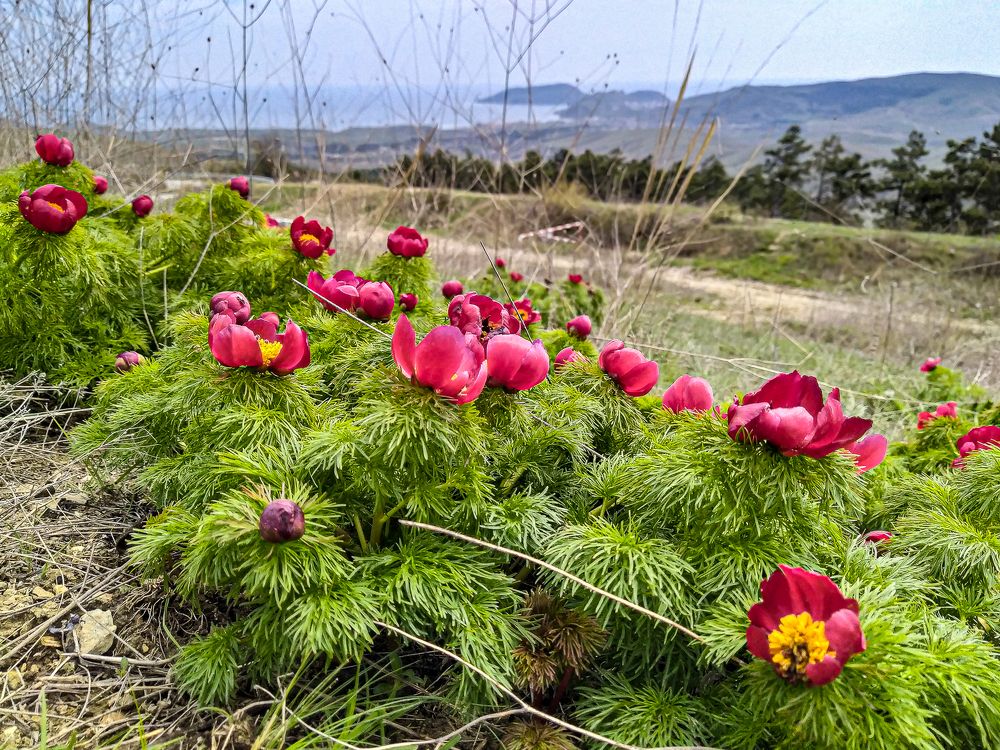 Photograph by Анатолий Мигов