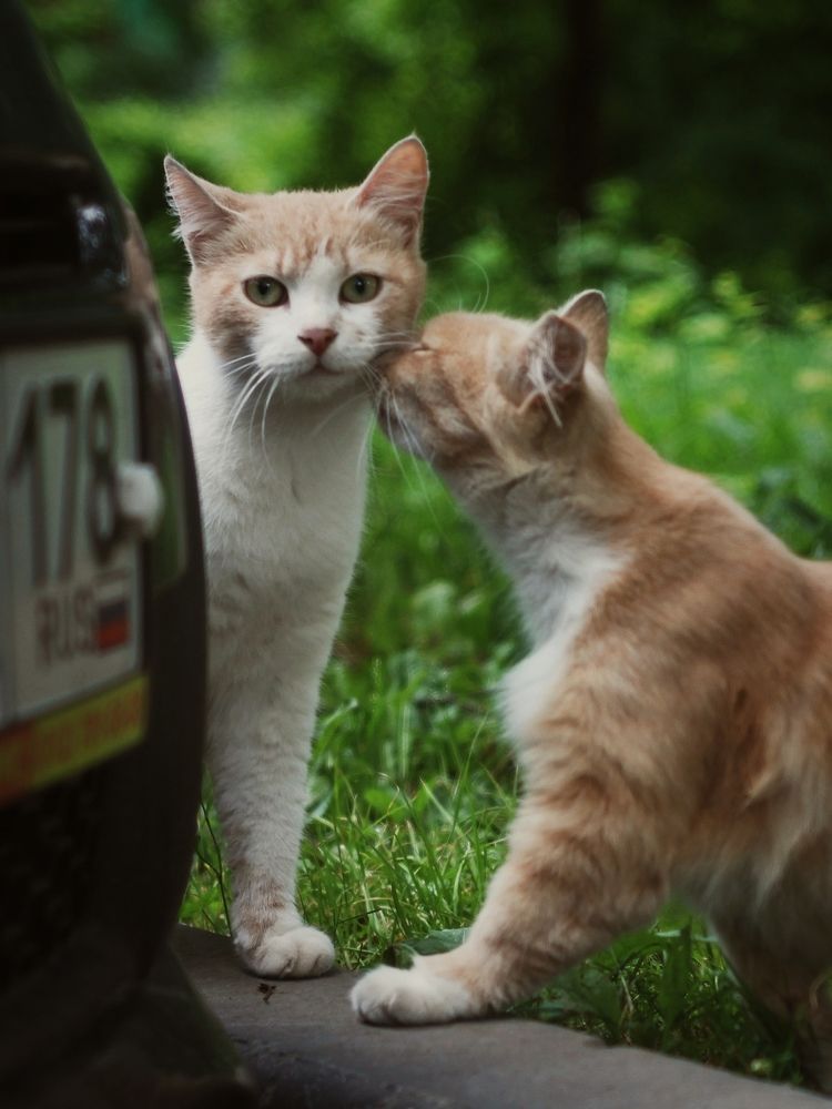 Photograph by Оксана Ботвина