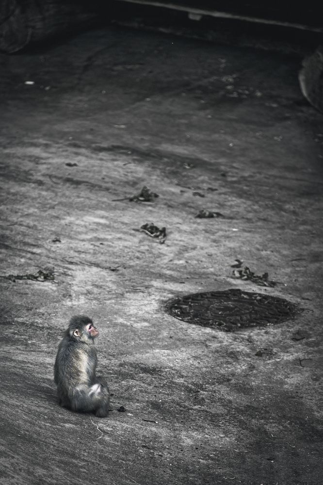 Photograph by Игорь Толкачев