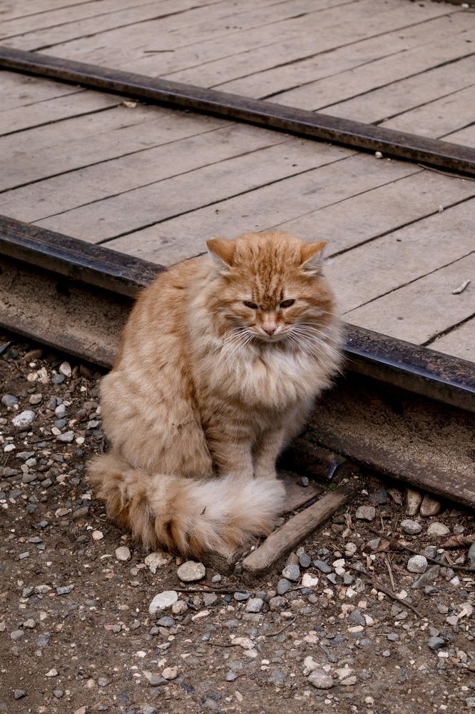 Photograph by Антонина Кузнецова