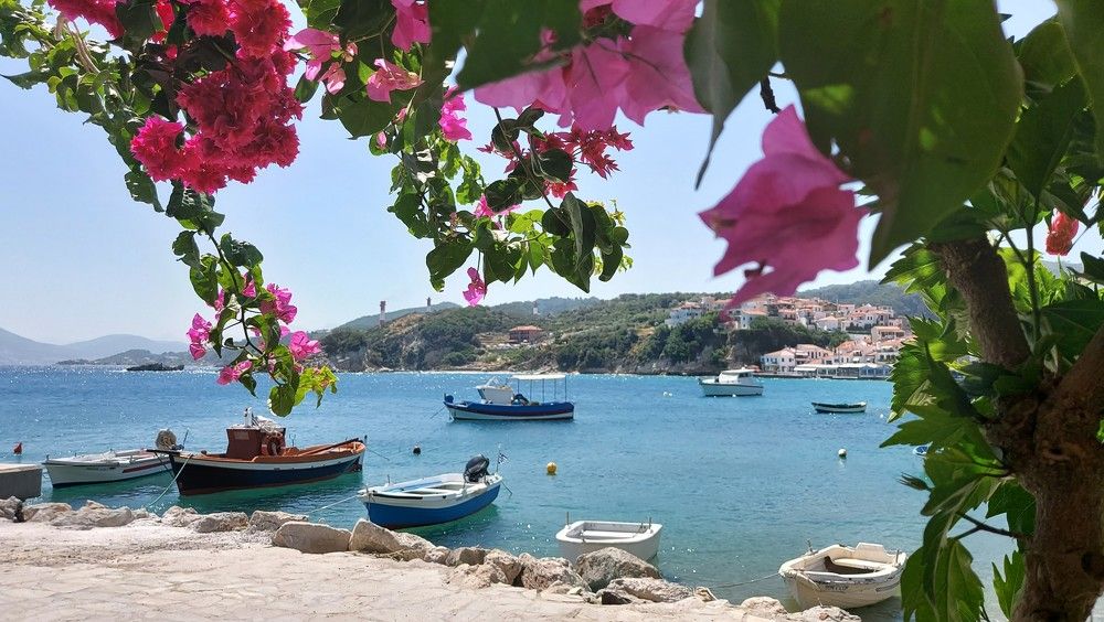 Photograph by Saime Şahin