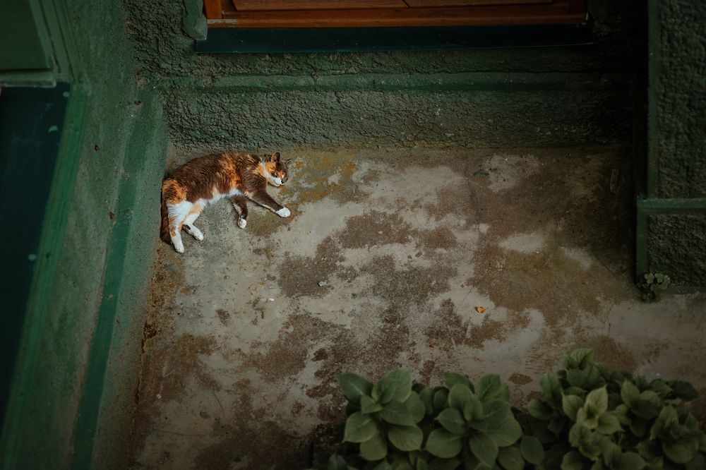 Photograph by Надежда Черковская