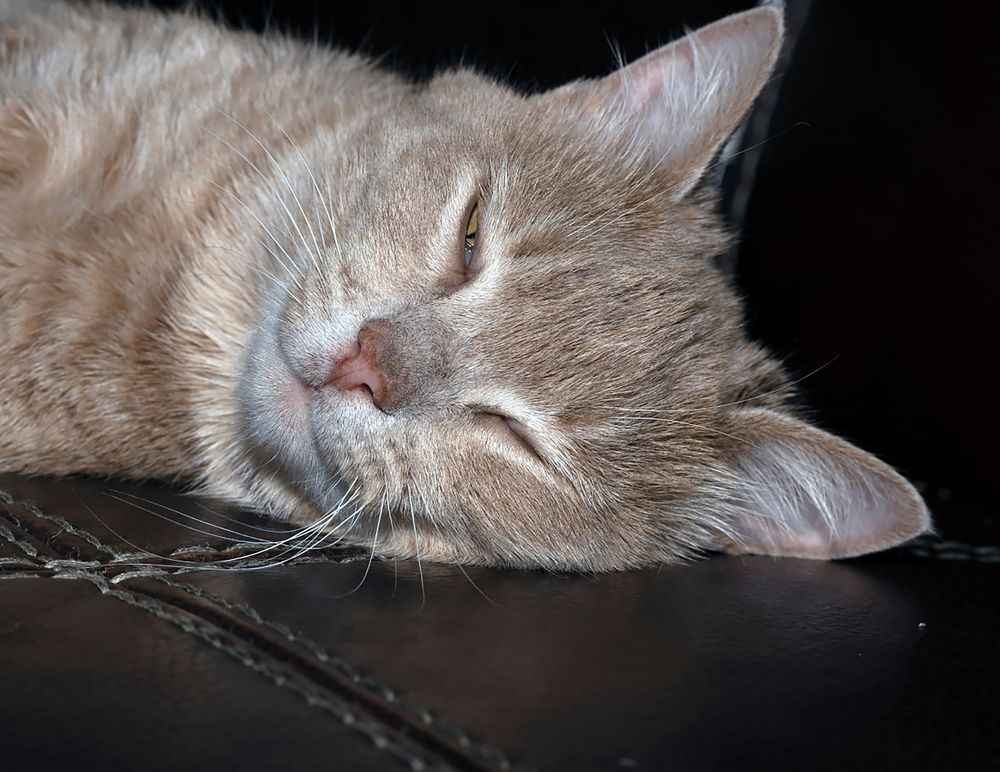 Photograph by Сергей Галёса