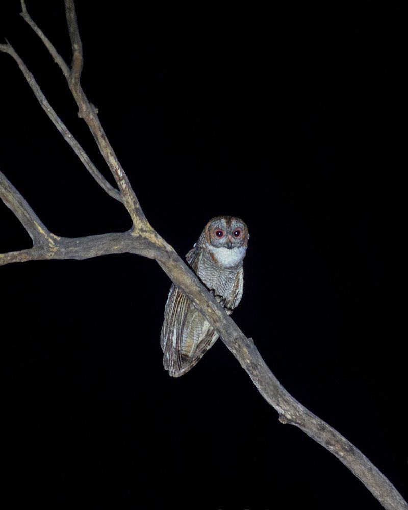 Фотография автора Hari Venkatesh