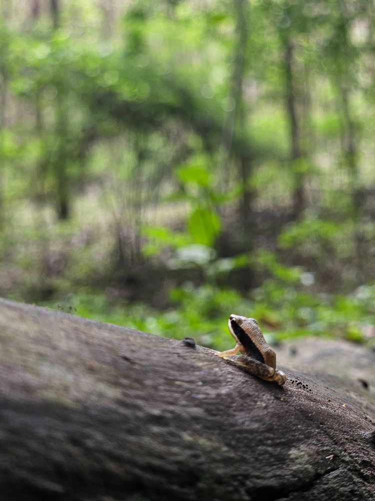Фотография автора Hari Venkatesh