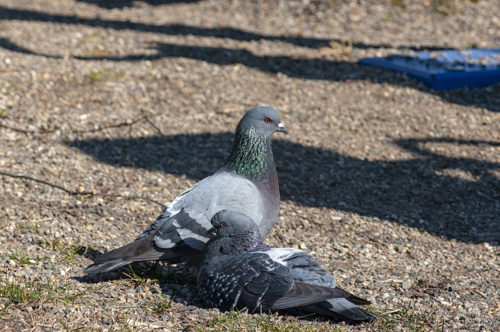 Photograph by Виталий Маслов