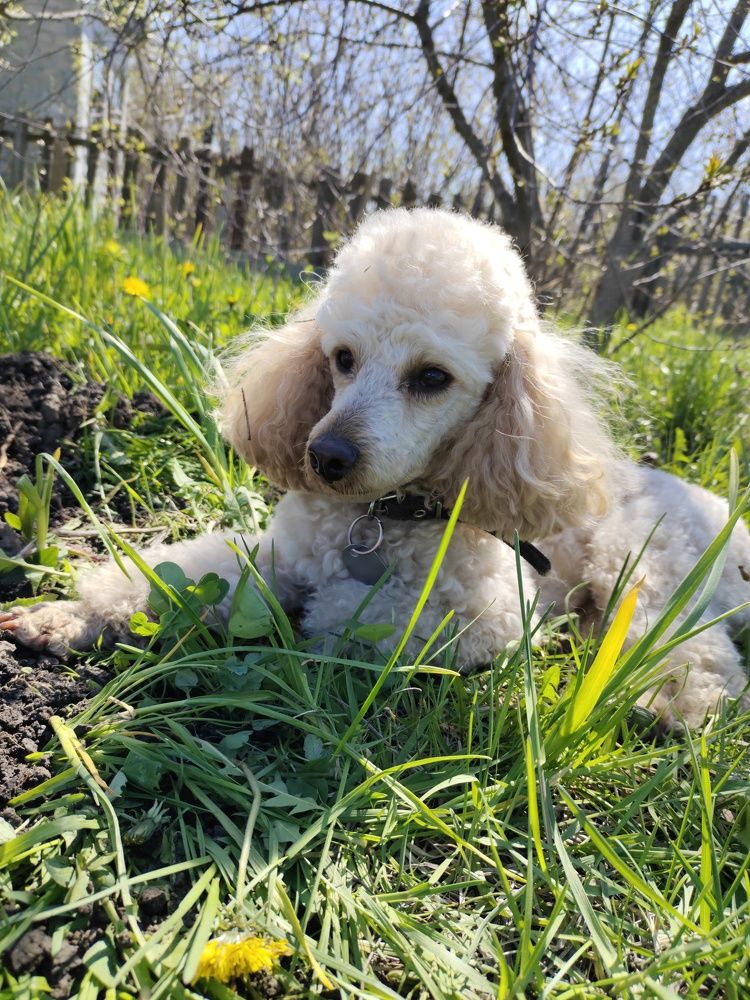 Photograph by Аркадий