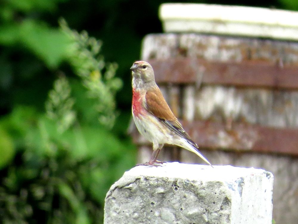 Photograph by Оксана Малахова