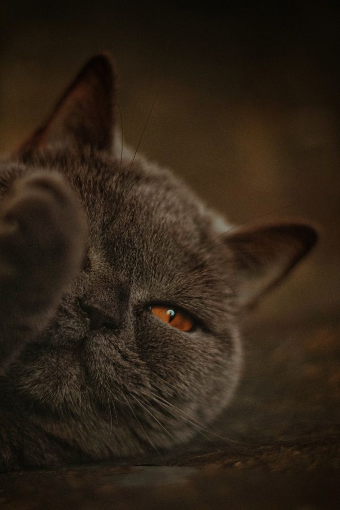 Photograph by Евгений Белов