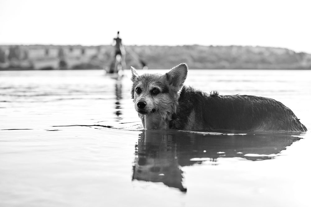 Photograph by Вербицкий Петр