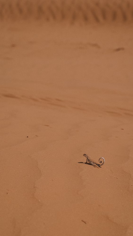 Photograph by Ирина Баринова