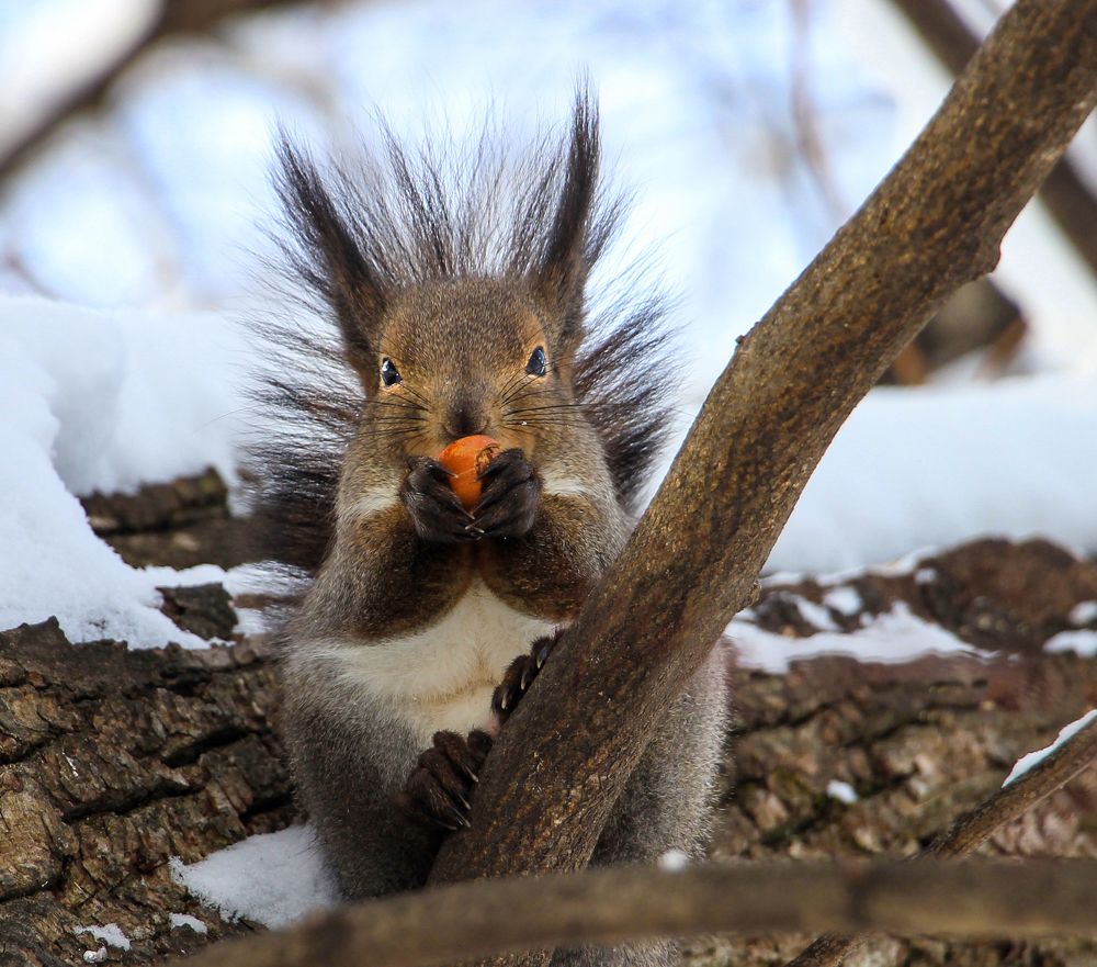 Фотография автора Татьяна Сергиенко