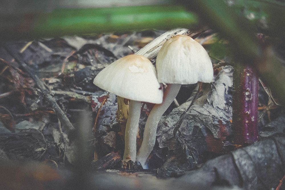 Photograph by Дмитрий Пацук