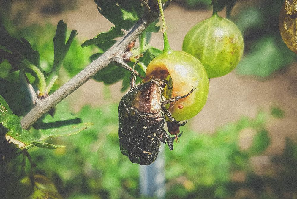 Photograph by Дмитрий Пацук