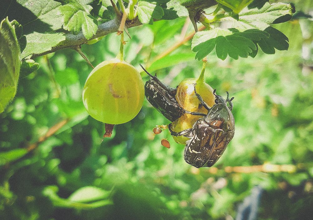 Photograph by Дмитрий Пацук