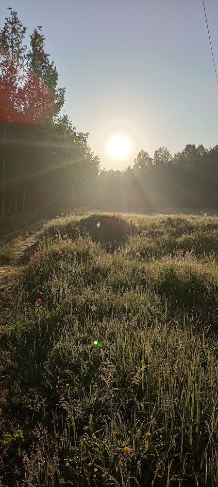 Photograph by Роман Шмаков