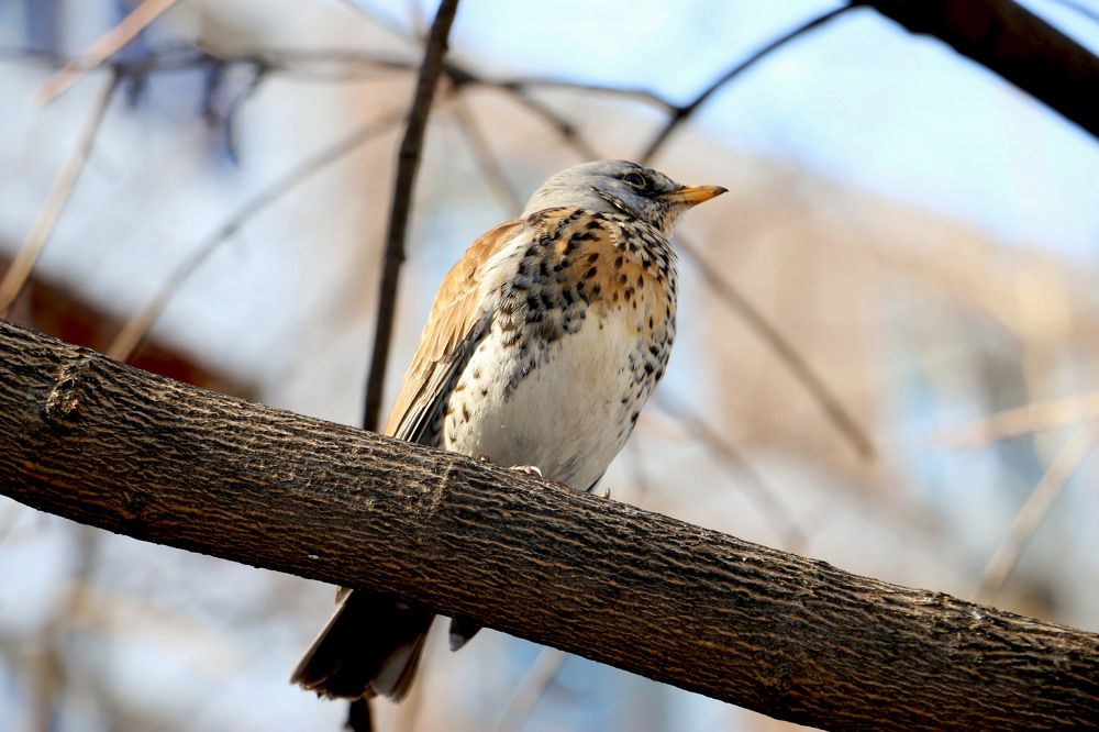 Photograph by Агнес