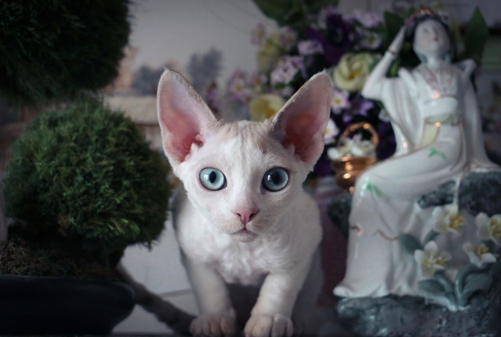 Photograph by Агнес