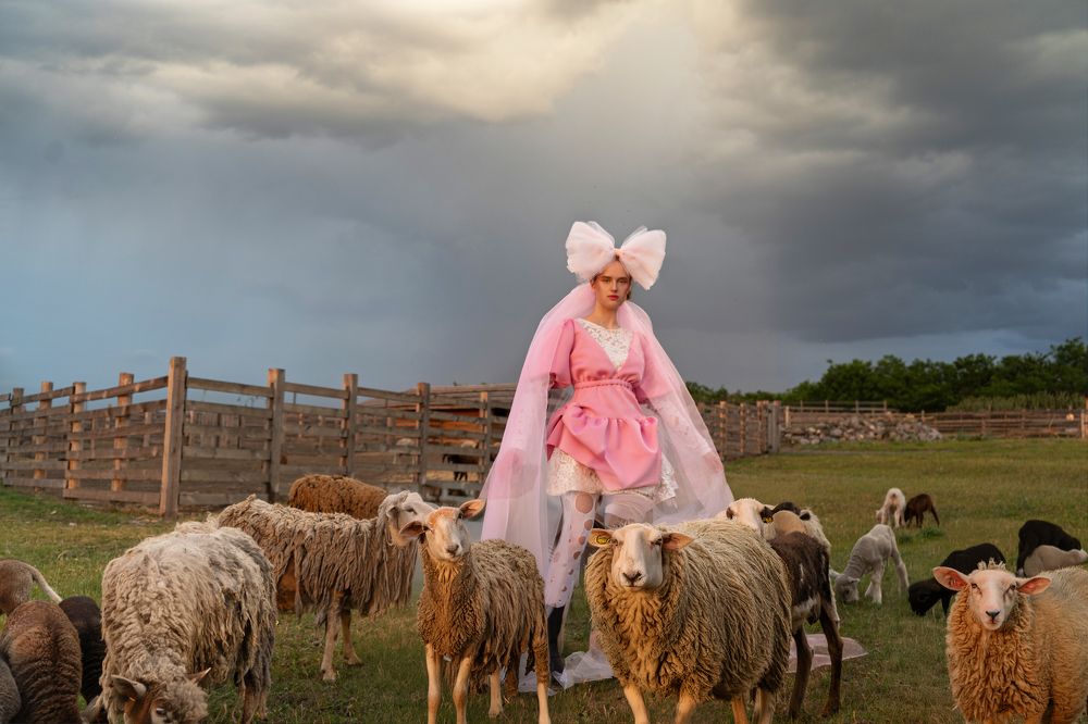 Photograph by Ольга Тихон