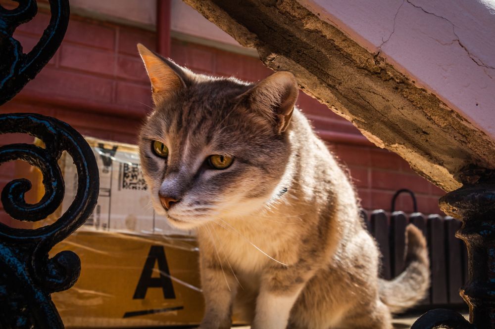 Photograph by Александр Антонов