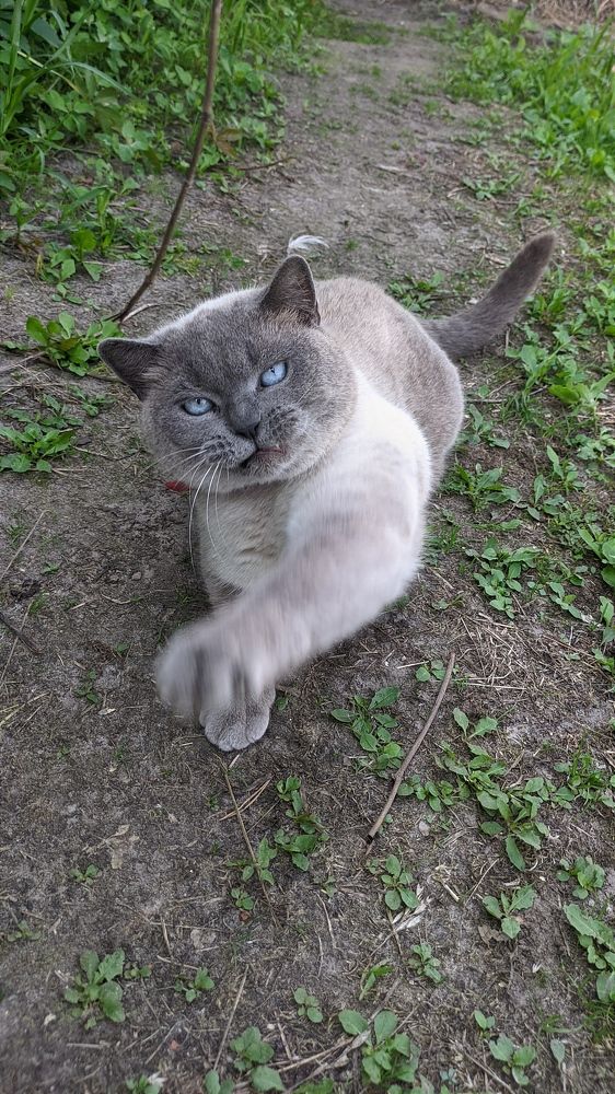 Фотография автора Васильева Ирина