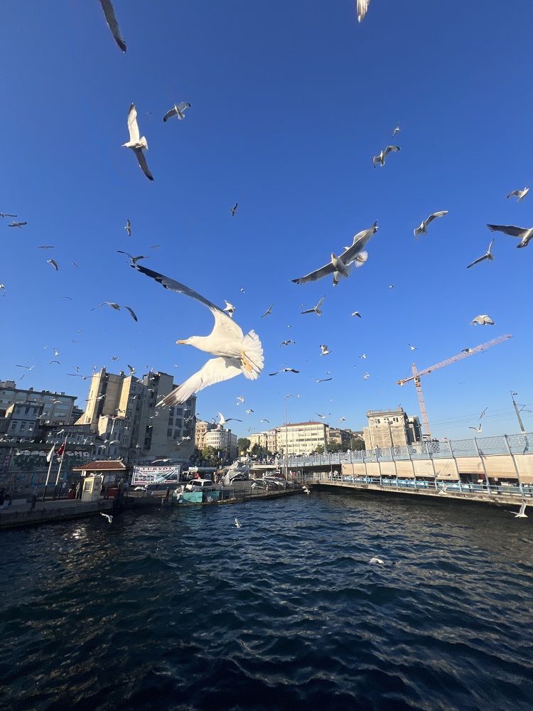 Photograph by Илья Ушак