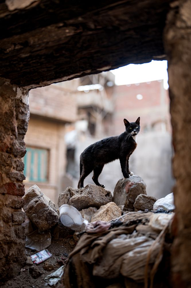 Photograph by Kiroo Medhat