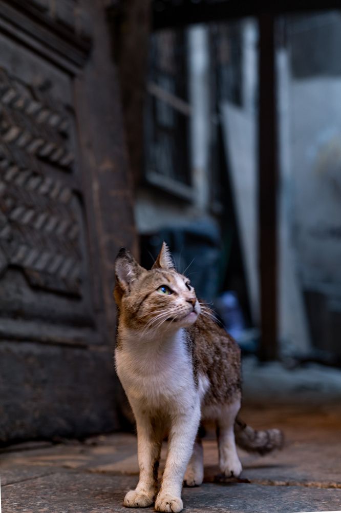 Photograph by Kiroo Medhat