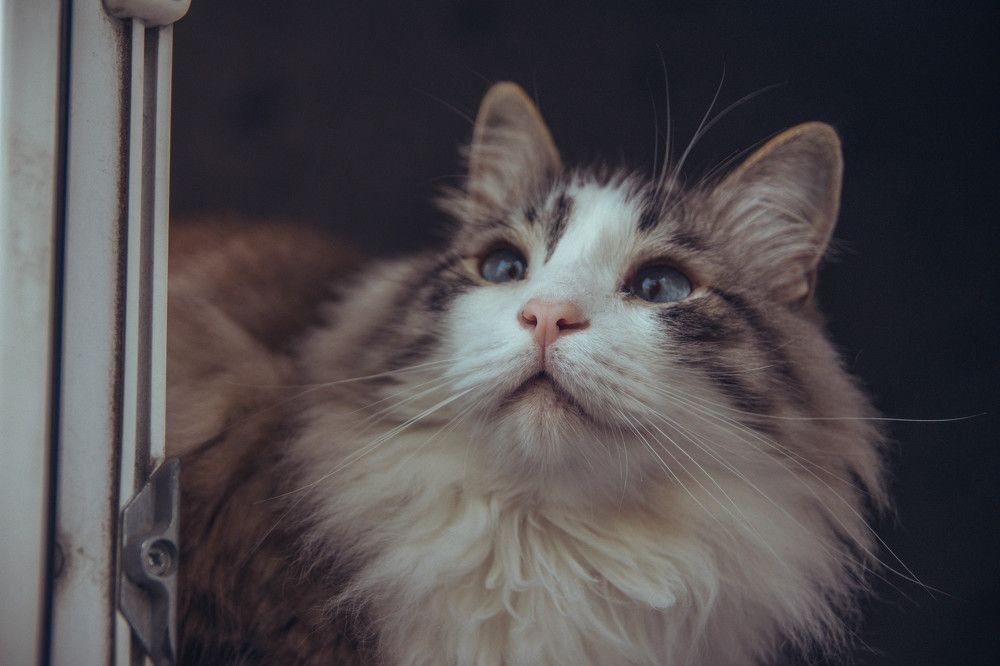 Photograph by Дмитрий Пацук